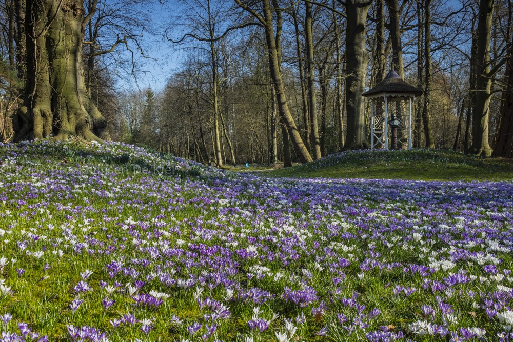 Voorjaar Voorjaar
